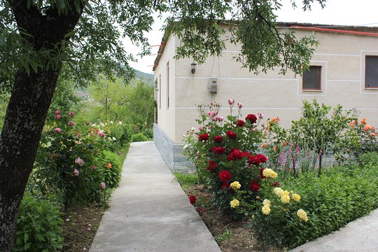 Tour image 6