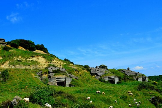 Tour image 7