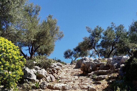 Tour image 12