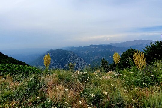 Tour image 14