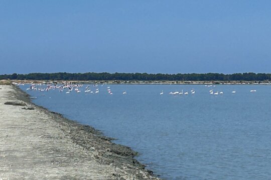 Tour image 6