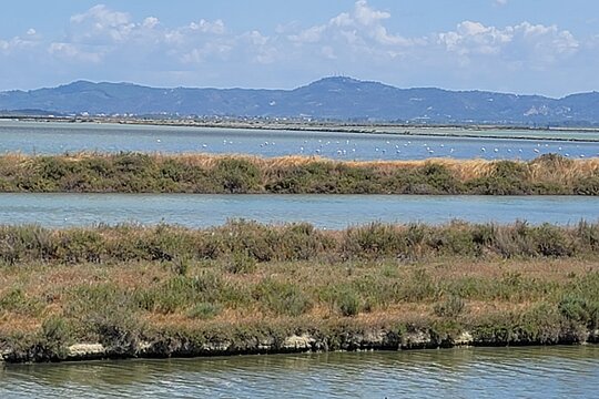 Tour image 6